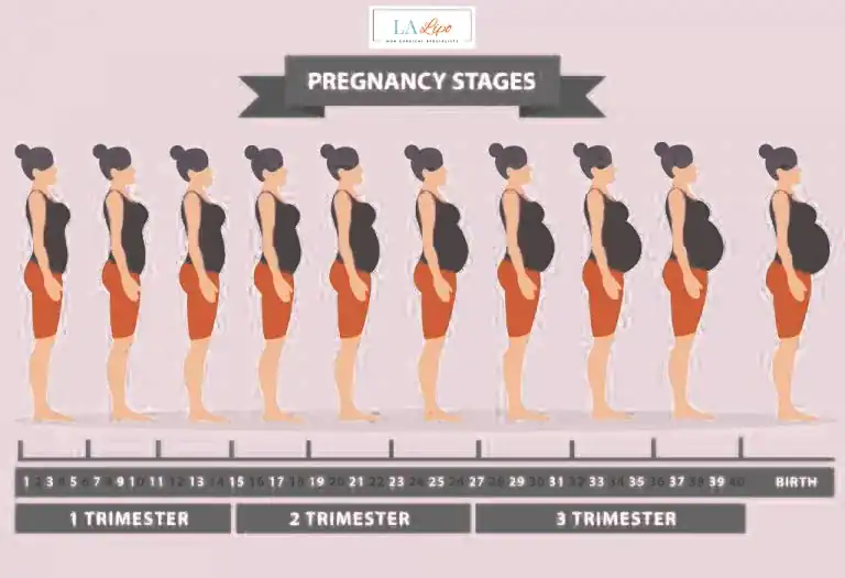 First Trimester (Weeks 1–12): Early Changes You Might Not Notice Worcestershire